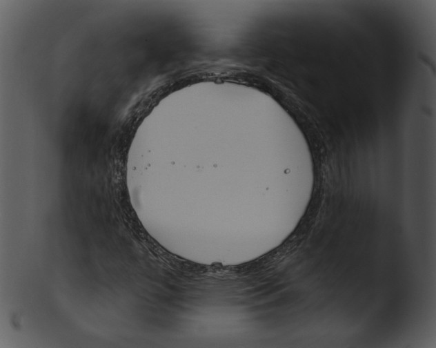 X0000103231447200809251253