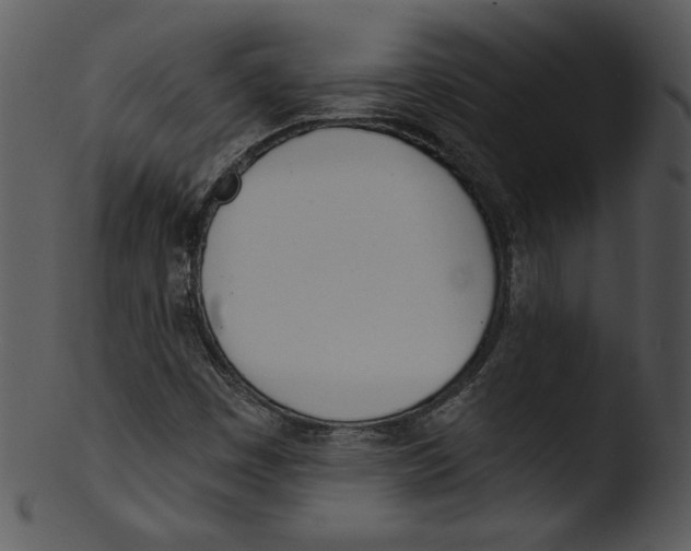 X0000103231449200809251253