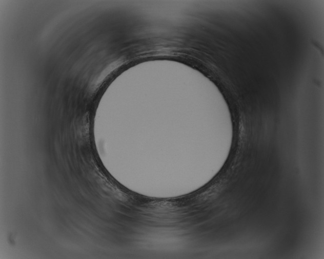 X0000103231450200809251253