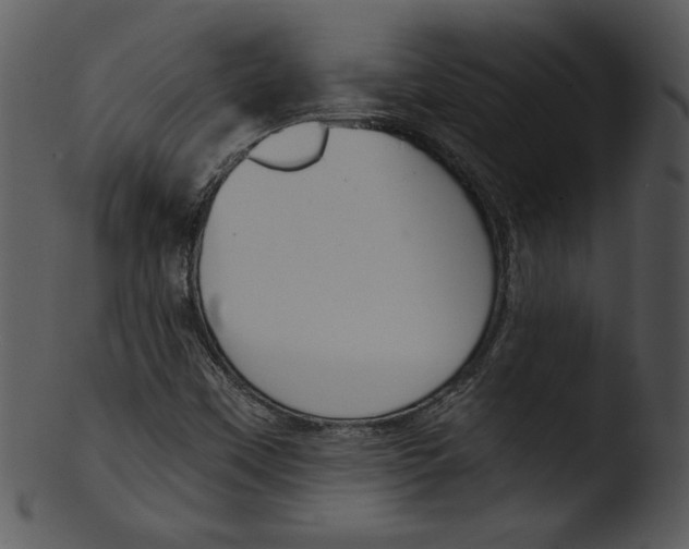 X0000103231451200809251253