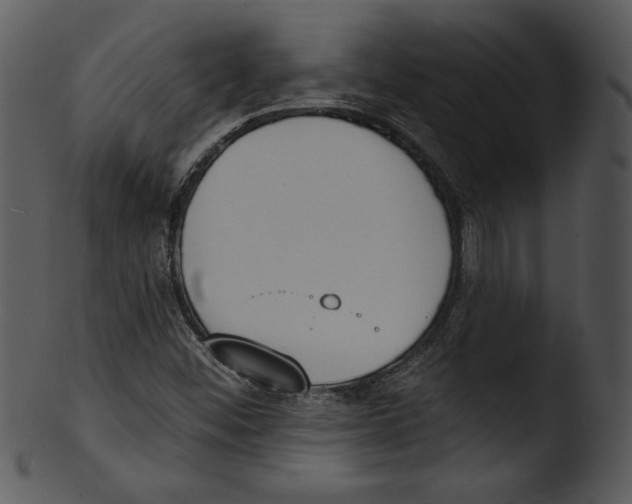 X0000103231452200809251253