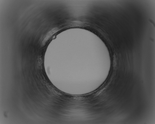 X0000103231453200809251253