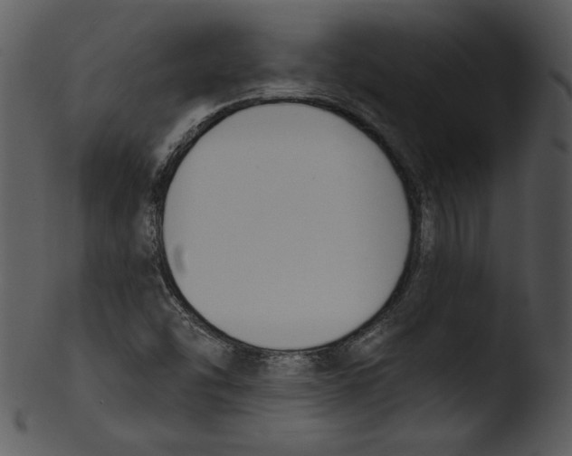 X0000103231454200809251253