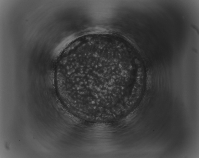 X0000103231455200809251253