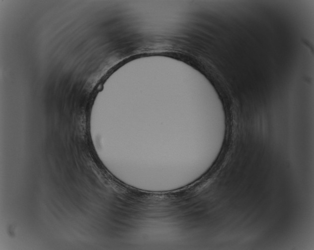 X0000103231457200809251253