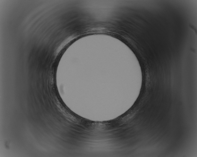 X0000103231458200809251253
