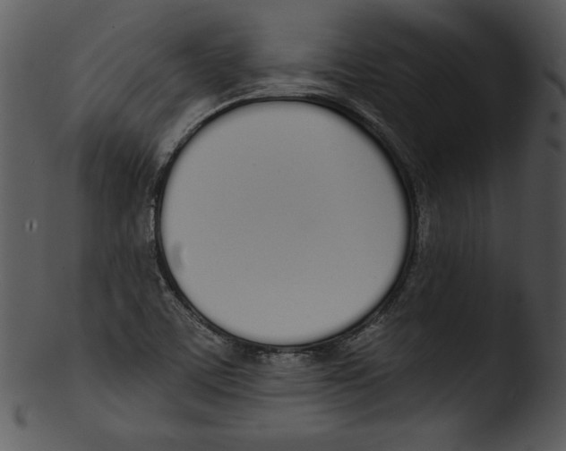 X0000103231459200809251253