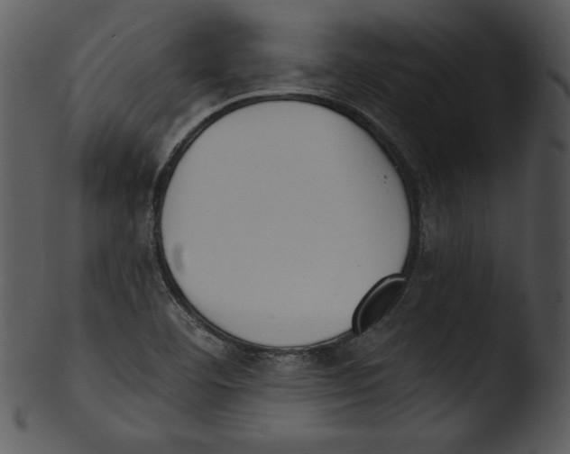 X0000103231460200809251253