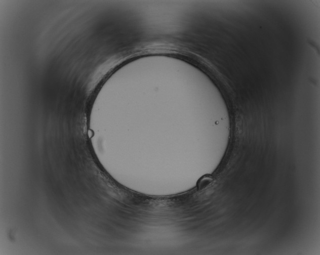 X0000103231461200809251253
