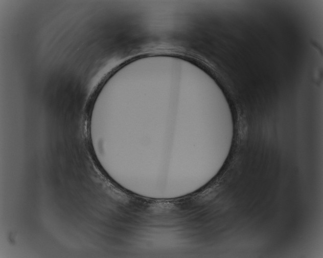 X0000103231462200809251253