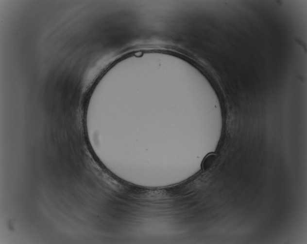 X0000103231464200809251253