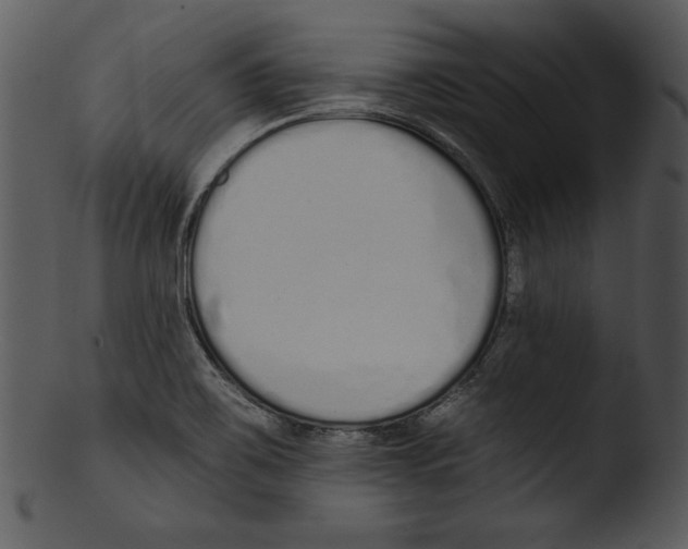 X0000103231467200809251253