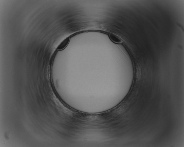 X0000103231468200809251253