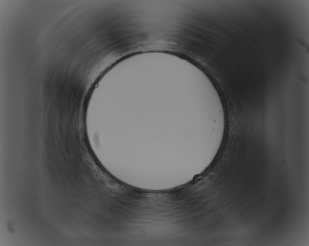 X0000103231469200809251253