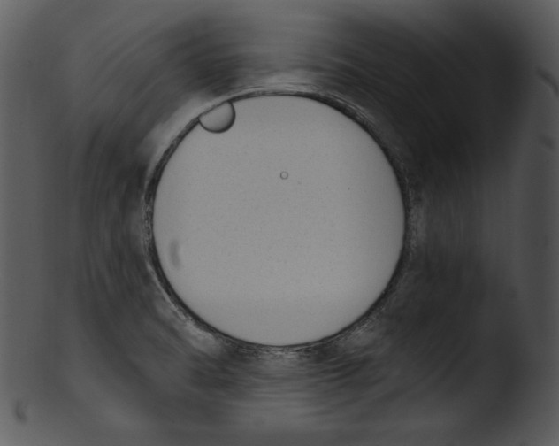 X0000103231470200809251253