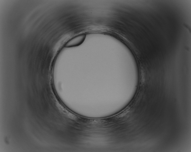 X0000103231471200809251253
