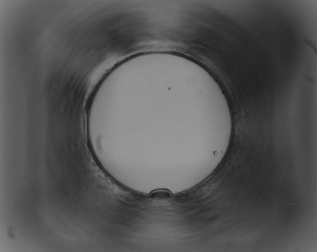 X0000103231472200809251253