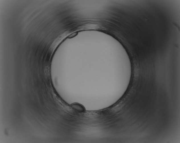 X0000103231473200809251253