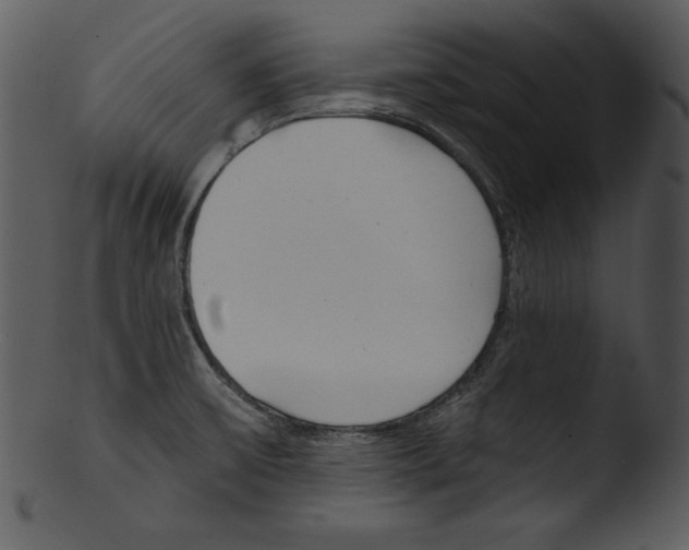 X0000103231475200809251253