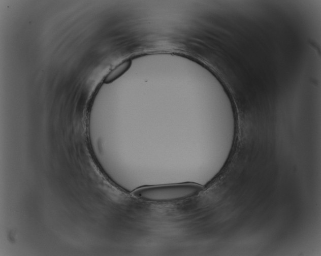 X0000103231477200809251253