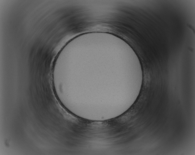 X0000103231478200809251253