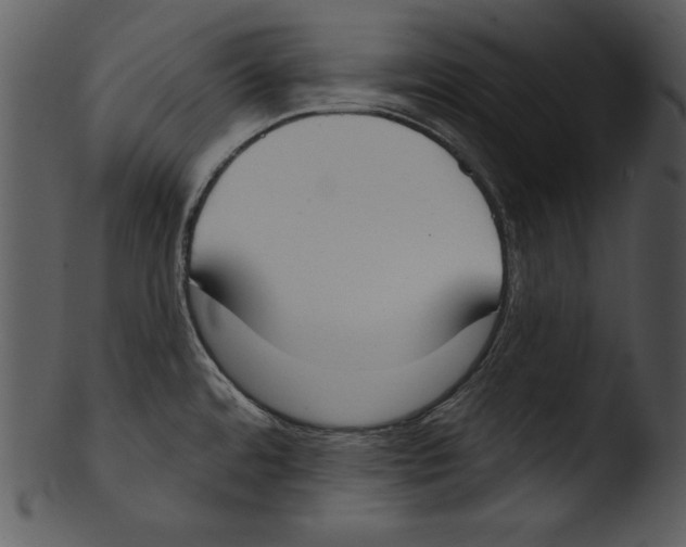 X0000103231480200809251253