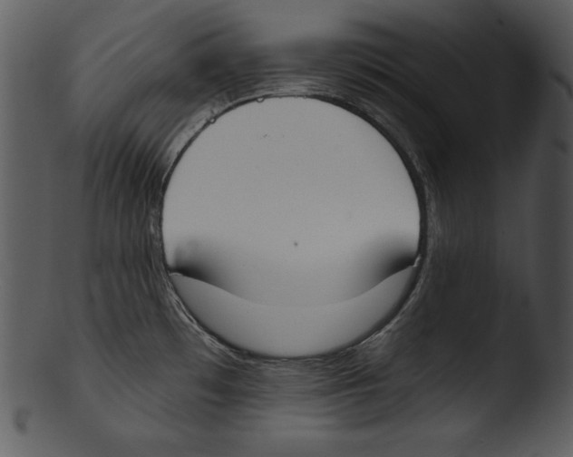 X0000103231481200809251253