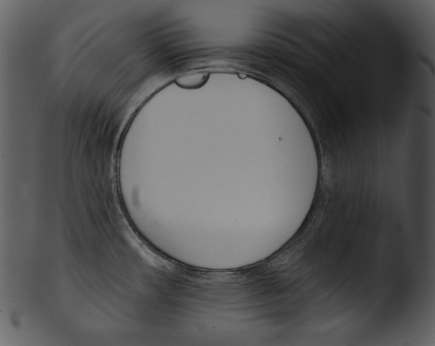 X0000103231482200809251253