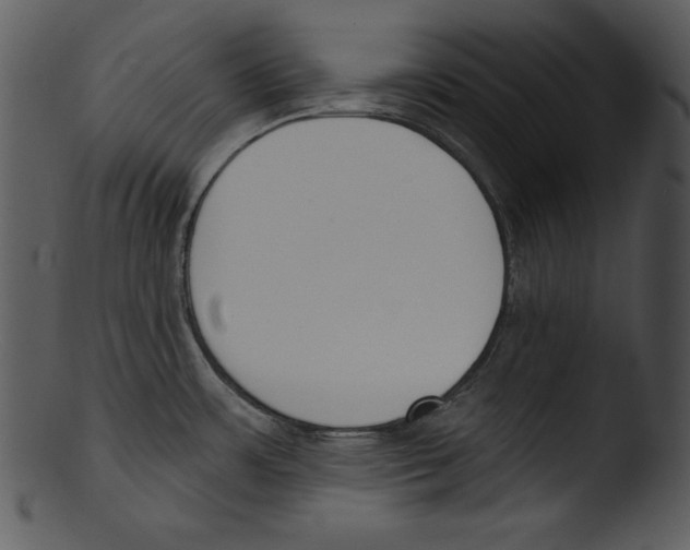 X0000103231483200809251253