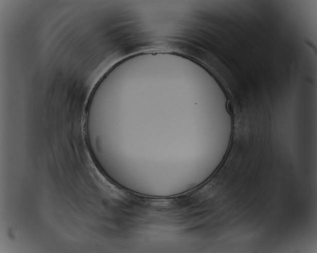 X0000103231484200809251253