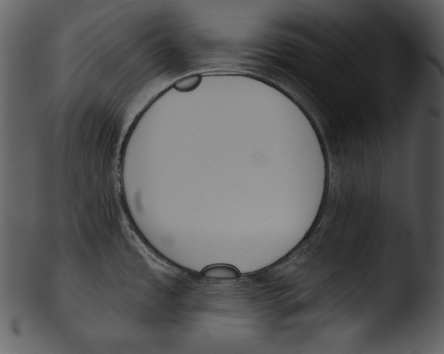 X0000103231485200809251253