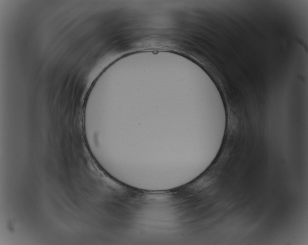 X0000103231486200809251253