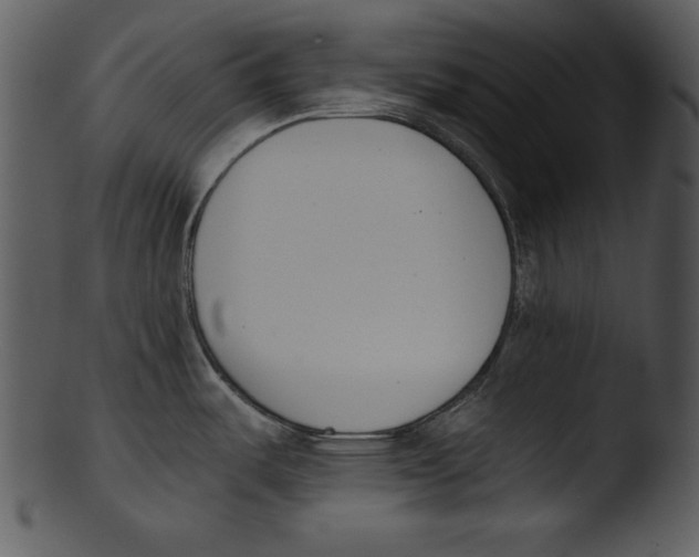 X0000103231487200809251253