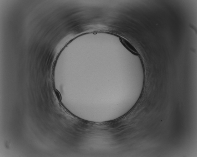 X0000103231488200809251253
