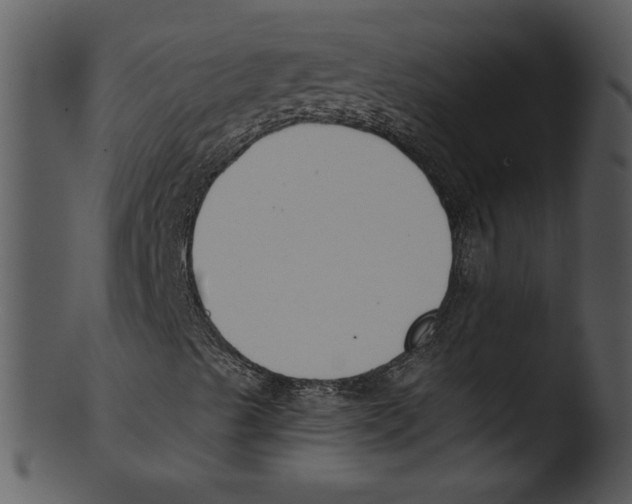 X0000103231489200809251252