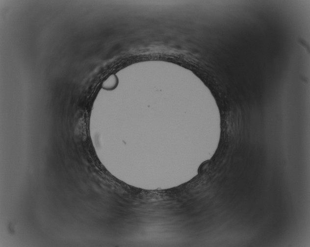 X0000103231493200809251252