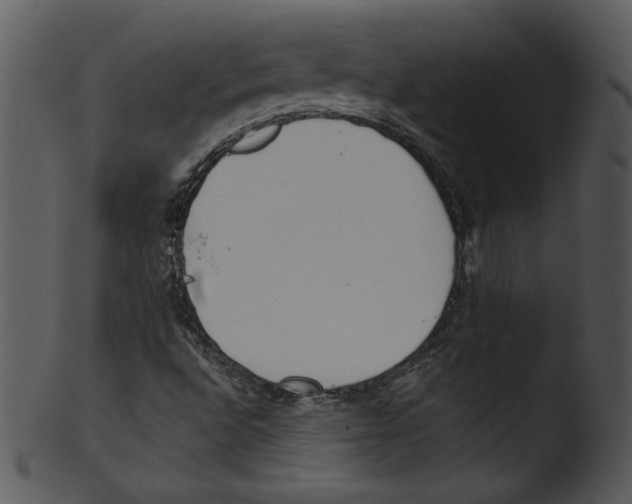 X0000103231496200809251252