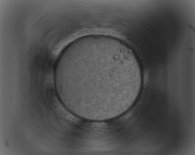 X0000103231498200809251252