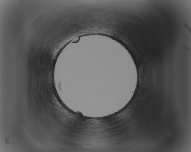 X0000103231500200809251252