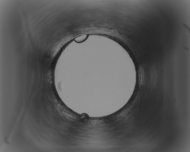 X0000103231501200809251252