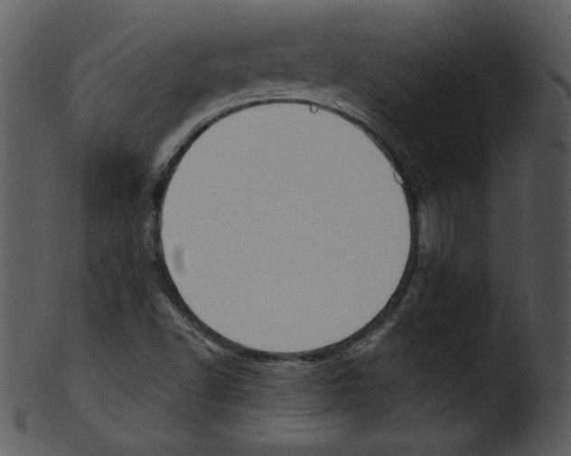 X0000103231502200809251252