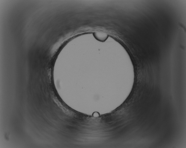 X0000103231503200809251252