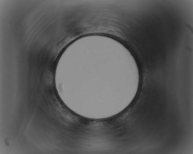 X0000103231505200809251252