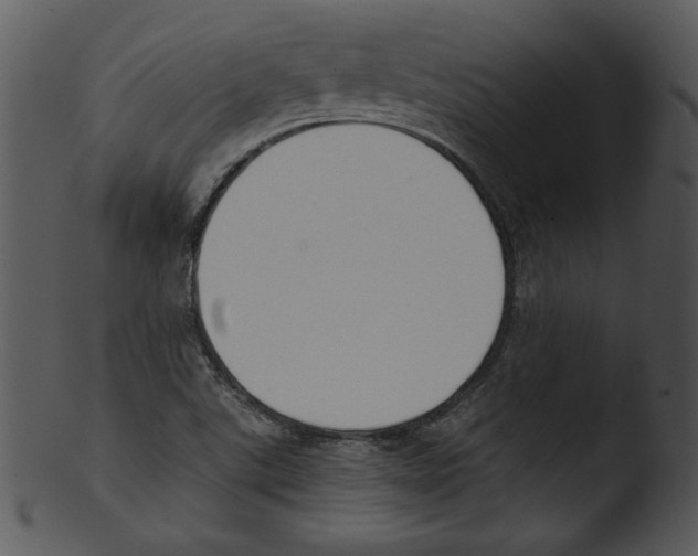 X0000103231507200809251252