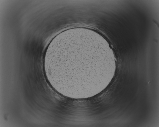 X0000103231508200809251252