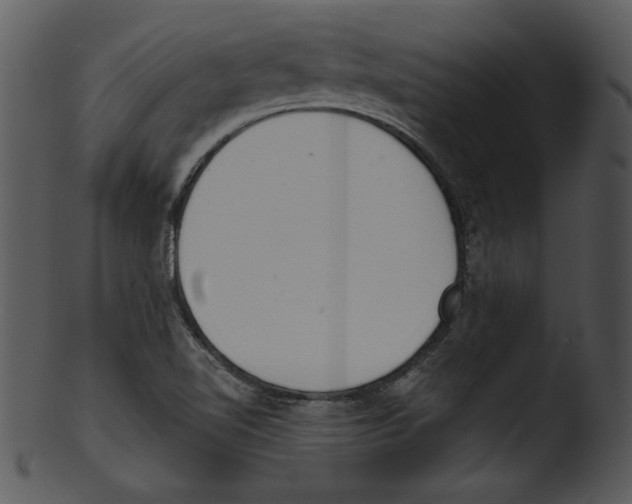 X0000103231510200809251252