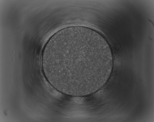 X0000103231514200809251252