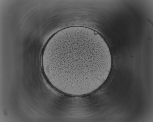 X0000103231515200809251252