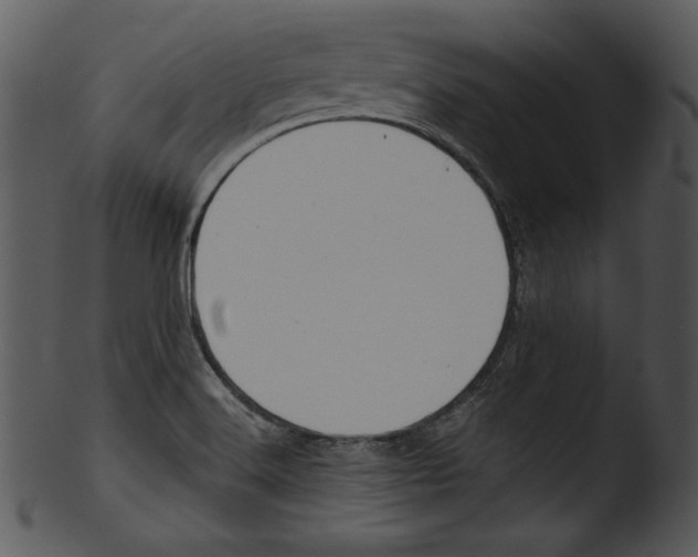 X0000103231516200809251252