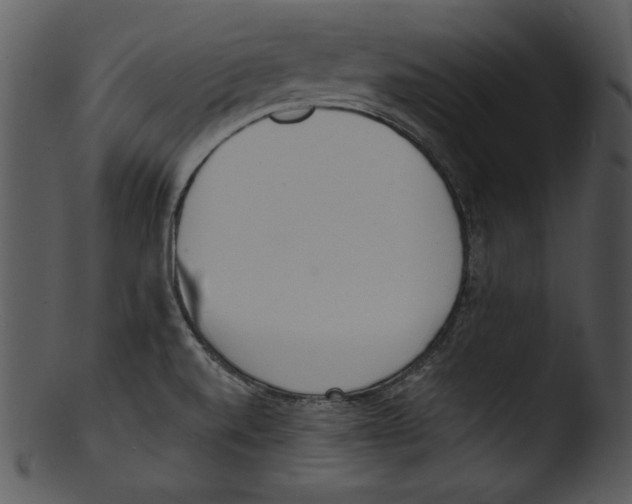 X0000103231520200809251252